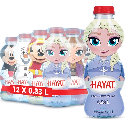 HAYAT SAKARYA FROZEN 0,33 L  12 ADET (1 KOLİ)