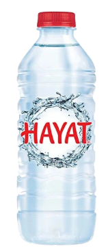 HAYAT POZANTI 0.50  LT 