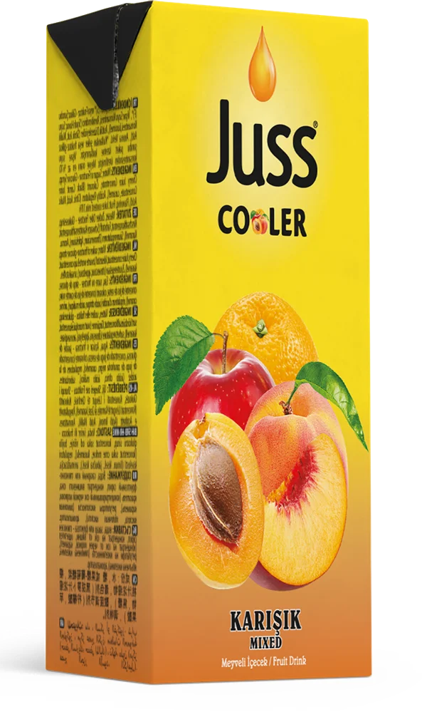 JUSS COOLER KARIŞIK 200 ML
