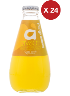 AVŞAR MANGO VE ANANAS SODA 24 ADET