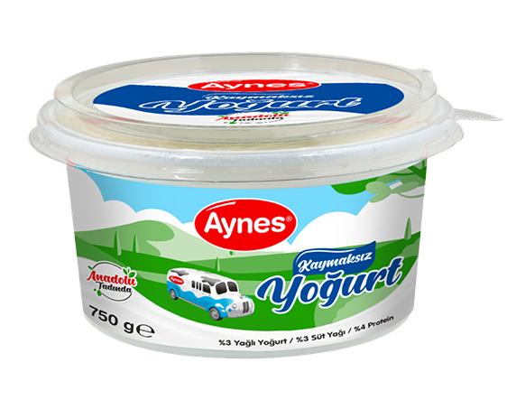 AYNES 750 GR KAYMAKSIZ YOĞURT 1 ADET