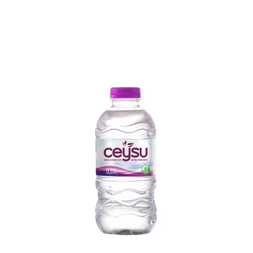 CEYSU PET ŞİŞE 0,33 LT 12 ADET (1 KOLİ)