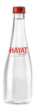 HAYAT SAPANCA 330 ML CAM SU