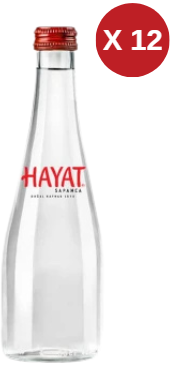 HAYAT SAPANCA 330 ML CAM SU 12 ADET