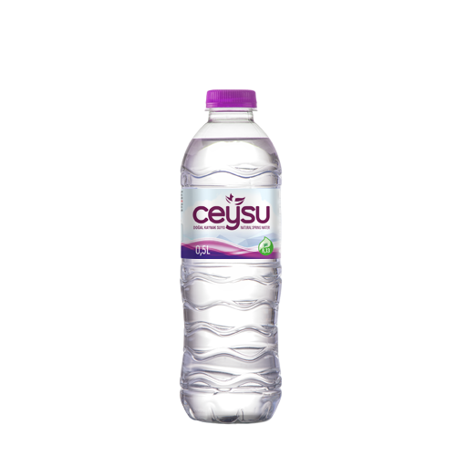 CEYSU PET ŞİŞE 0,50 LT  12 ADET (1 KOLİ)