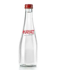 HAYAT SAPANCA 0,33 ML CAM  12 ADET (1 KOLİ)
