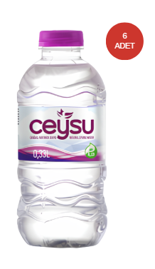 CEYSU PET ŞİŞE 0,33 LT 6 ADET